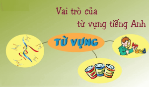 Hình ảnh tự học tiếng anh online số 2 hinh-anh-tu-hoc-tieng-anh-online-so-2