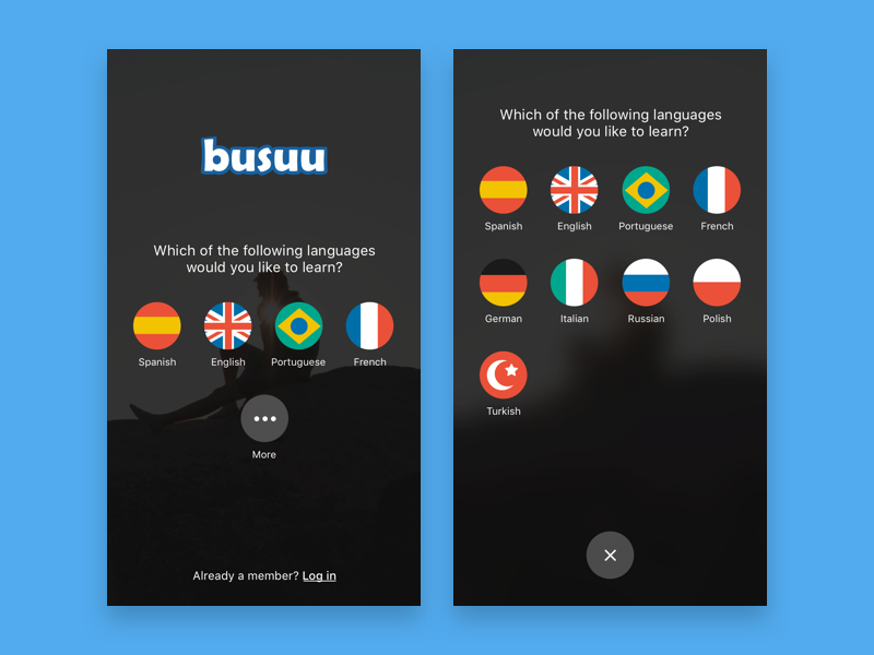 Язык ui. Language UI. Interface language. Choose language. Language change UI.