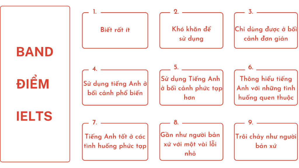 ielts-8-0-can-bao-nhieu-tu-vung-lieu-ban-da-biet-chua-so-2