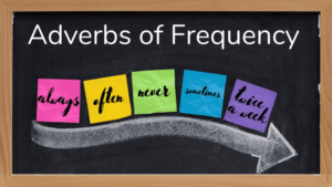 Sau trạng từ chỉ tần suất là gì số 1