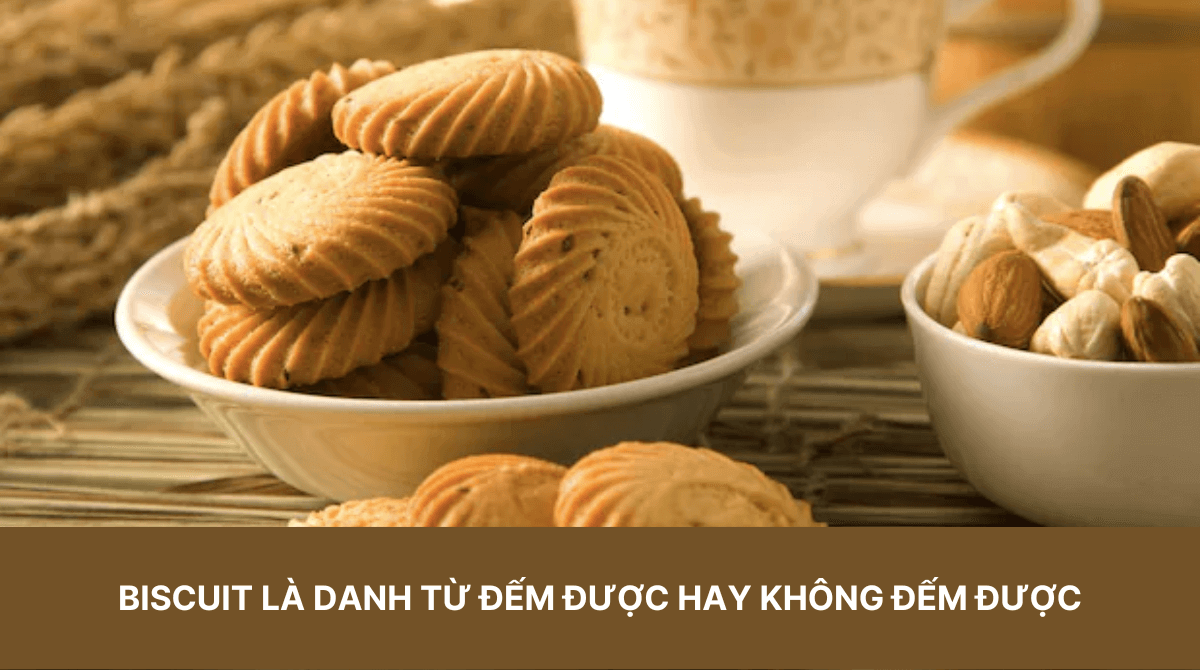 Biscuit đếm được không? Tìm hiểu chi tiết về cách sử dụng trong tiếng Anh