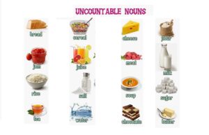 Hình ảnh egg là danh từ đếm được hay không đếm được 2 hinh-anh-egg-la-danh-tu-dem-duoc-hay-khong-dem-duoc-2