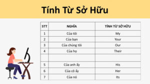 hinh-anh-tinh-tu-so-huu-va-danh-tu-so-huu-1