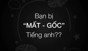 hinh-anh-lo-trinh-hoc-tieng-anh-cho-nguoi-mat-goc-1