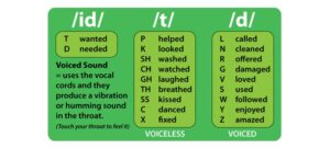 Hình ảnh bài tập phát âm ed và s 1 hinh-anh-bai-tap-phat-am-ed-va-s-1