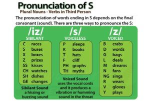 Hình ảnh bài tập phát âm ed và s 2 hinh-anh-bai-tap-phat-am-ed-va-s-2