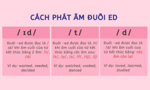 Hình ảnh cách phát âm ed và s dễ nhớ 2 hinh-anh-cach-phat-am-ed-va-s-de-nho-2