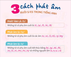 Hình ảnh cách phát âm ed và s dễ nhớ 3 hinh-anh-cach-phat-am-ed-va-s-de-nho-3