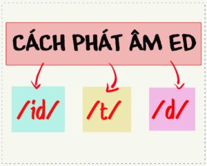 hinh-anh-cau-than-chu-phat-am-ed-1