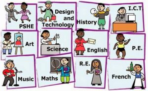 hinh-anh-tu-vung-tieng-anh-3