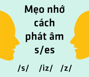hinh-anh-cach-phat-am-s-es-trong-tieng-anh-1