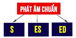 hinh-anh-cach-phat-am-s-es-trong-tieng-anh-2