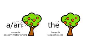 Hình ảnh cách sử dụng mạo từ trong tiếng anh 3 hinh-anh-cach-su-dung-mao-tu-trong-tieng-anh-3