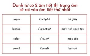 hinh-anh-meo-khoanh-trac-nghiem-tieng-anh-cho-nguoi-mat-goc-2